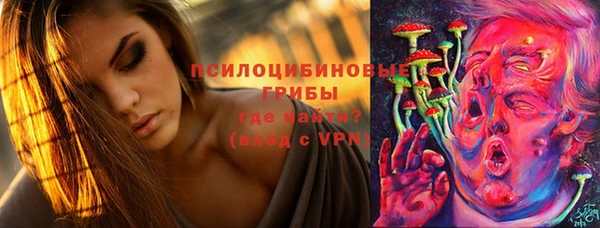 амф Белокуриха