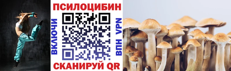 Галлюциногенные грибы Psilocybe  Рыбинск 